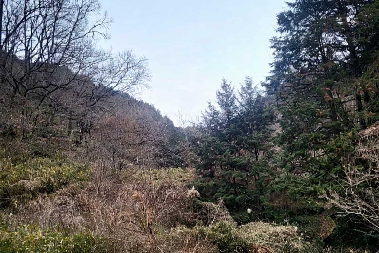 南大阪中央ファーム株式会社